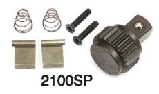 2100SP PIC